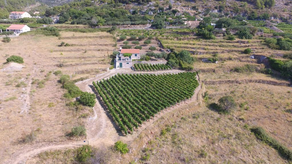 Holiday Home Vineyard House ボル エクステリア 写真