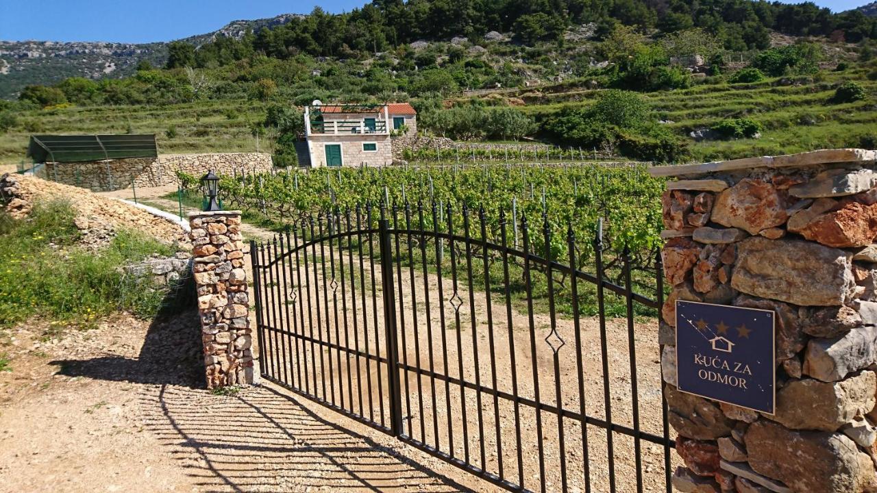 Holiday Home Vineyard House ボル エクステリア 写真