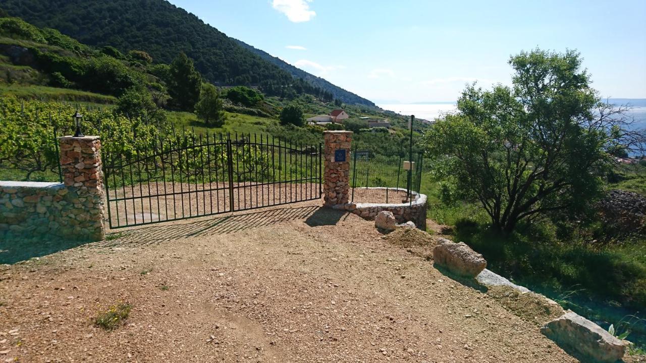 Holiday Home Vineyard House ボル エクステリア 写真