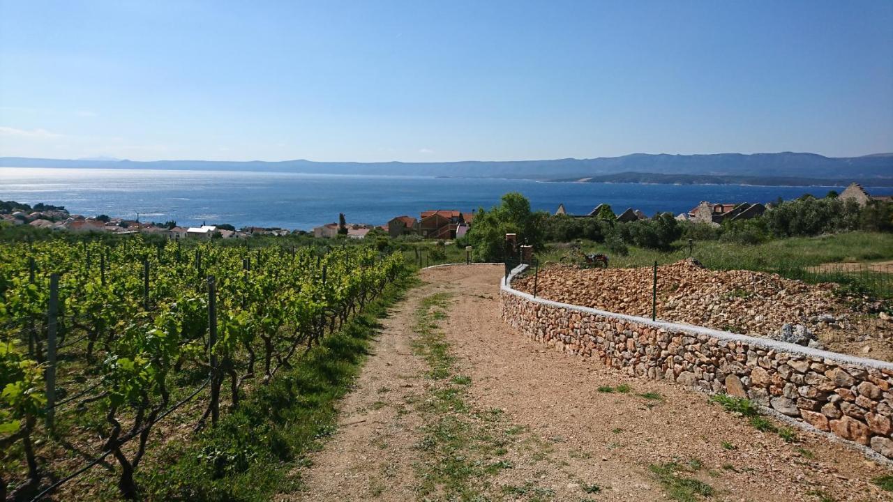 Holiday Home Vineyard House ボル エクステリア 写真